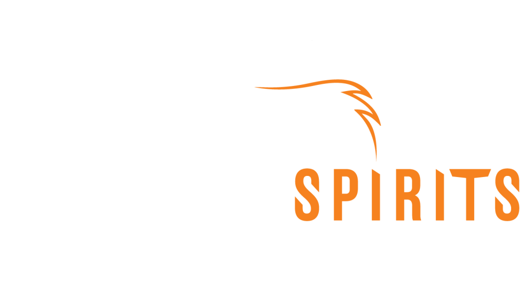 Atacamaspirits. Highest MTB race on earth