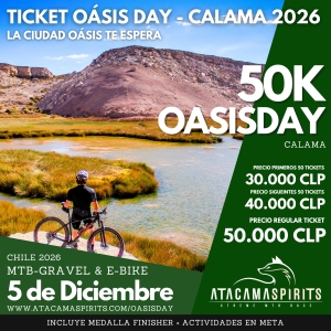 Ticket Oasis Day - Calama 2026